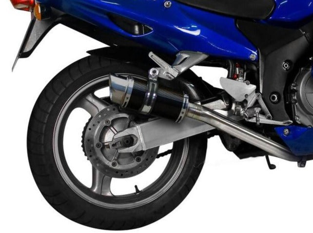 DELKEVIC Honda CBR1100XX Blackbird (96/09) Full Exhaust System 4-1 with Mini 8" Carbon Silencer